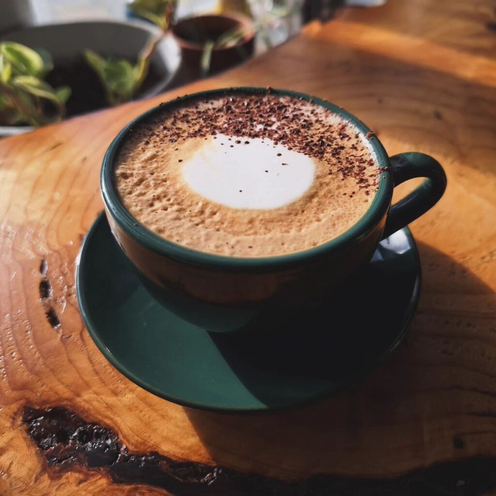 Cloudforest Coffee