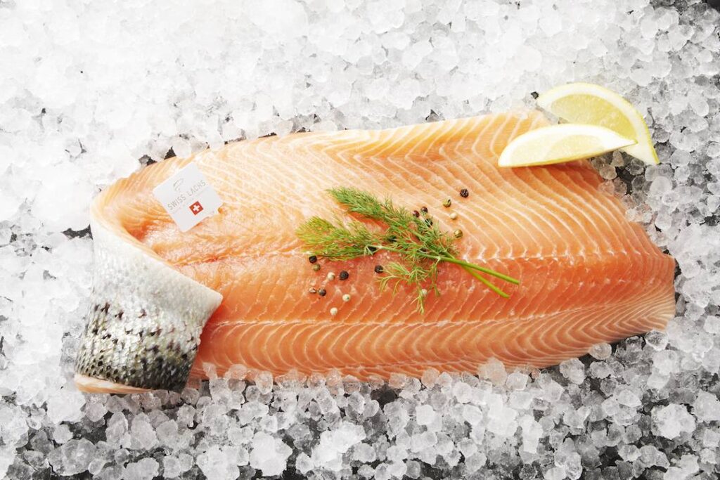 Fresh Salmon